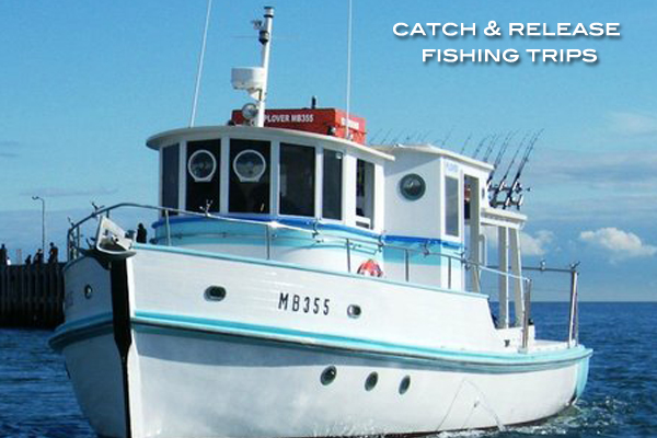 Catch and Release Fishing tours Mornington