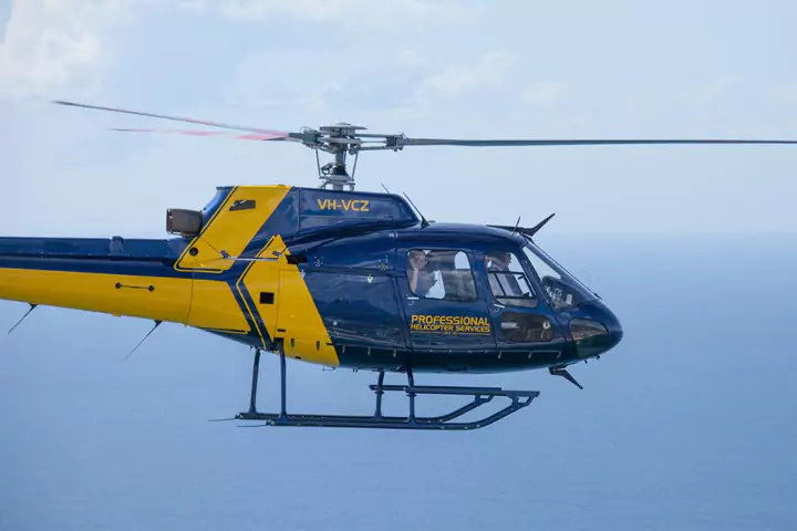 Mornington Peninsula Winery Tours