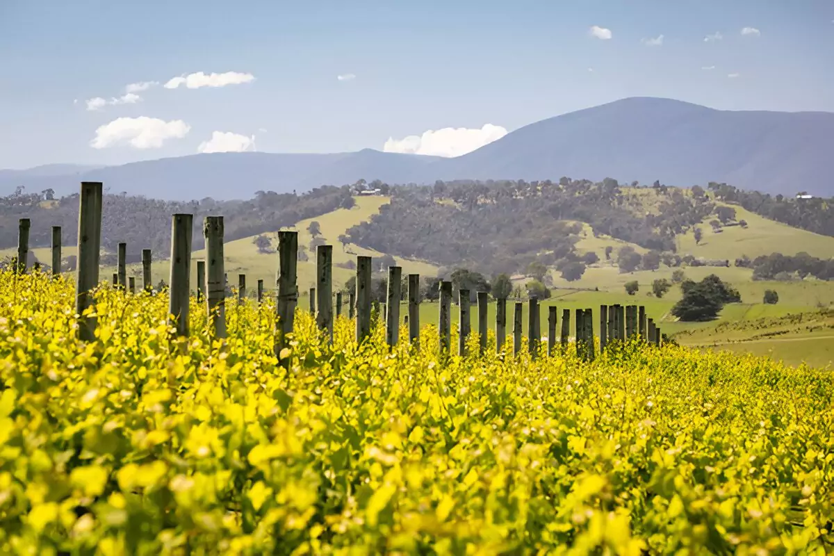Yarra Valley